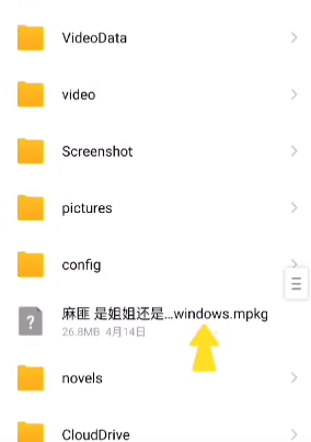 壁纸引擎mpkg文件下载使用教程