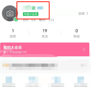 哔哩哔哩年度小会员绿色表情怎么设置