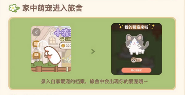淘宝小流浪旅舍怎么玩