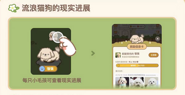 淘宝小流浪旅舍怎么玩