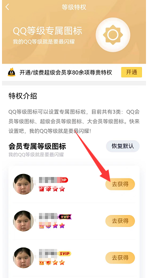 qq等级怎么更换图标