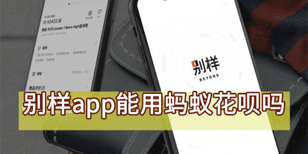 别样app能用蚂蚁花呗吗