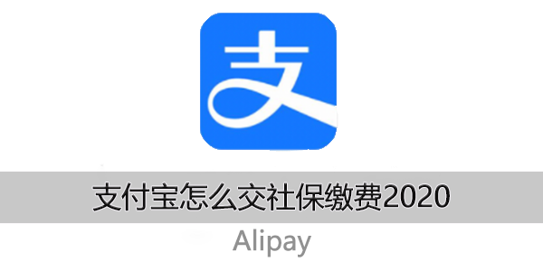 支付宝怎么交社保缴费2020