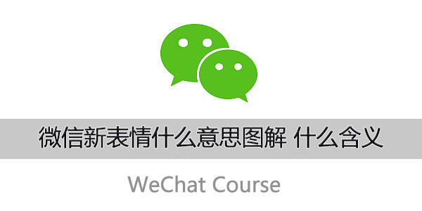 微信新表情什么意思图解 什么含义