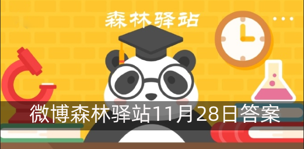 森林驿站11.28答案 微博森林驿站11月28日答案