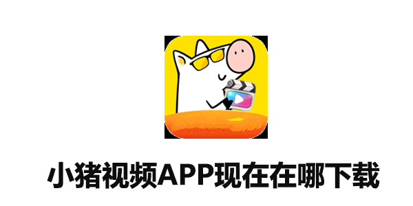 小猪视频APP现在在哪下载