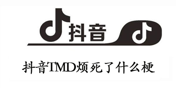 抖音TMD烦死了什么梗TMD烦死了出处 怎么回事