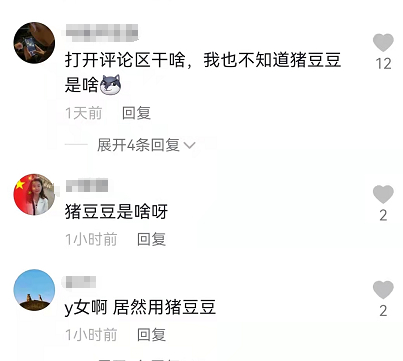 抖音猪豆豆是什么意思 什么梗