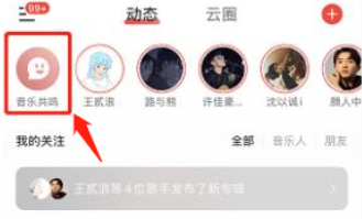 网易云音乐共鸣提醒怎么开启