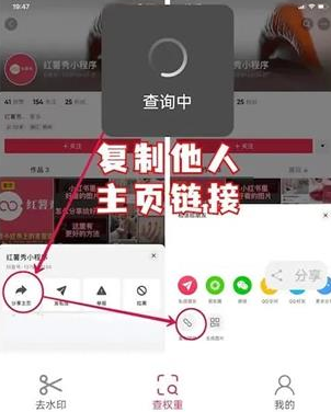 抖音账号权重查询入口最新版