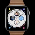 watchos 7.4公测版描述文件