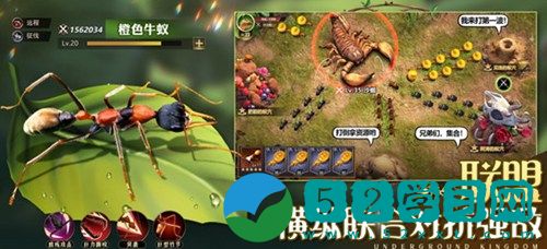 小小蚁国怎么提升战力 小小蚁国战力提升教程