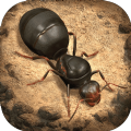 小小蚁国决战丛林游戏下载,小小蚁国决战丛林游戏安卓版 v1.43.0