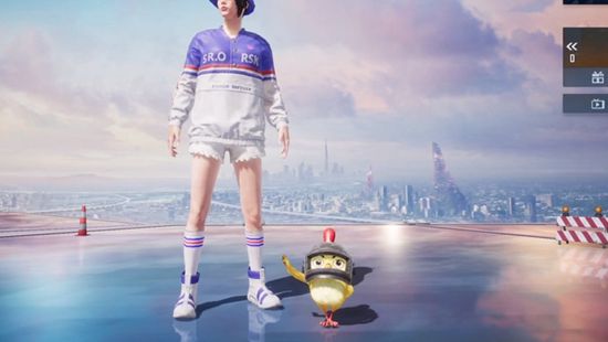 和平精英大厅小鸡仔怎么玩 和平精英小鸡仔玩法介绍