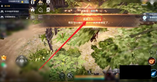 黑色沙漠怎么买马 黑色沙漠获得马的方法