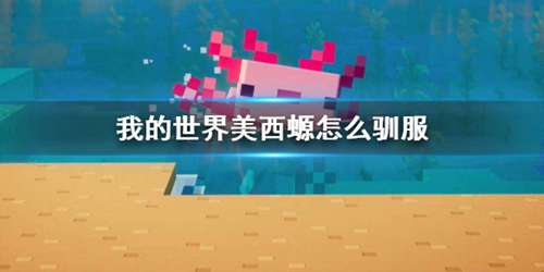 我的世界手游美西螈怎么驯服 我的世界手游美西螈驯服攻略