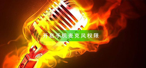 怎样开启手机麦克风权限_开启手机麦克风权限方法