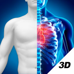 3D人体解剖图谱安卓版下载-3D人体解剖图谱appv2.0.2 最新版
