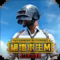 地铁逃生pubg国际服下载最新版下载,地铁逃生pubg国际服下载2023最新版本 v2.5.0