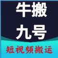 牛搬九号app下载,牛搬九号短视频搬运app最新版 v15.0